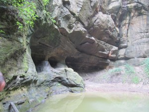 Canyon at Starved Rock. 